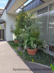 吉田医院の画像