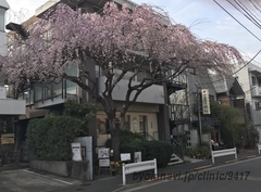 田園調布眼科の外観/院内の写真