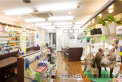 ぼうしや薬局 本店の外観/施設内の写真