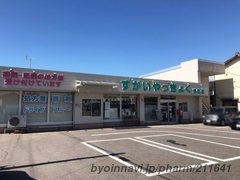 すがいやっきょく緑町店の外観/施設内の写真