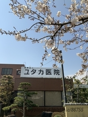 ユタカ医院の外観/院内の写真