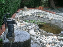 片岡医院の外観/院内の写真