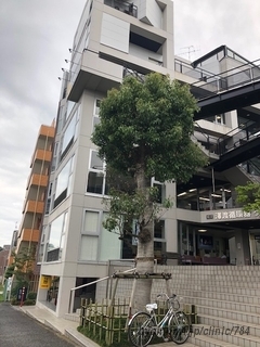 澤渡循環器クリニックの外観/院内の写真
