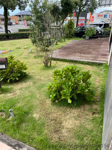 ごんげんの森歯科医院の画像
