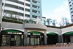 井関医院の外観/院内の写真