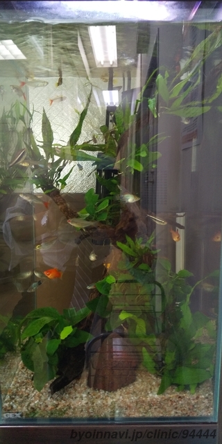 よしとみクリニックの画像