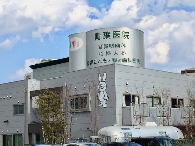 【中古】 全国病院番付 病気・病名別優良病医院ｂｅｓｔ　９７４ 下巻/アスペクト/丹羽幸一 こういうときはこうする！ 感染症クリスタルエビデンス 診断編