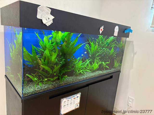 二子新地 ひかりこどもクリニックの画像