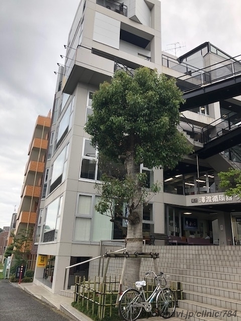 澤渡循環器クリニックの外観/院内の写真