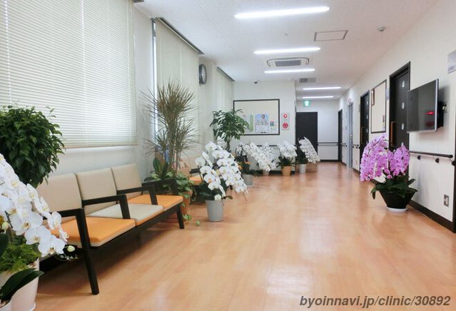 五十嵐整形外科医院の外観/院内の写真